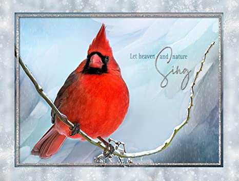 (Item #40) Winter Cardinal - Boxed Christmas Cards - 5 5/8 x 7 3/8 Inches - 15 Heavyweight Cards and 16 Envelopes - Team Husa